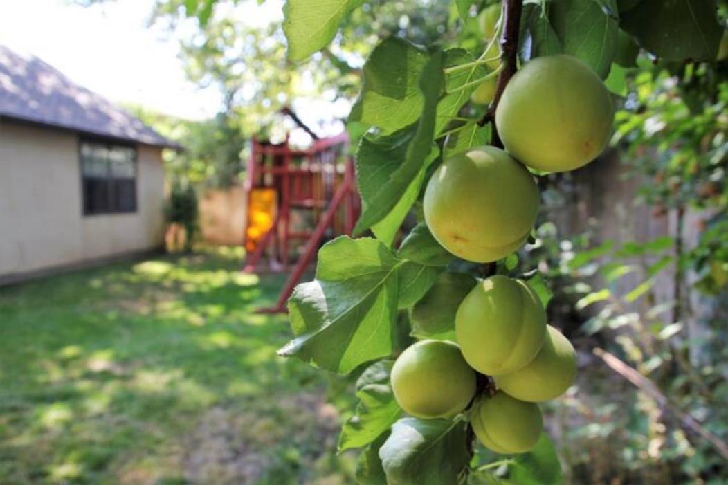Experience Nirvana With Artwork Collections From Around The Globe Located In Lakewood Neighborhood In Se Boise Next To A Park, Minutes From Bown Crossing And The Boise River, 10 Minutes To Downtown, 4 Beds, Sleeps 8, Pets Welcome In Large Fenced In Y 外观 照片